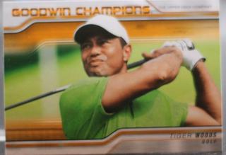 Tiger Woods