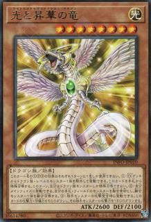 Light End Sublimation Dragon INFO-JP010