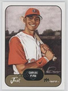 Carlos Pena