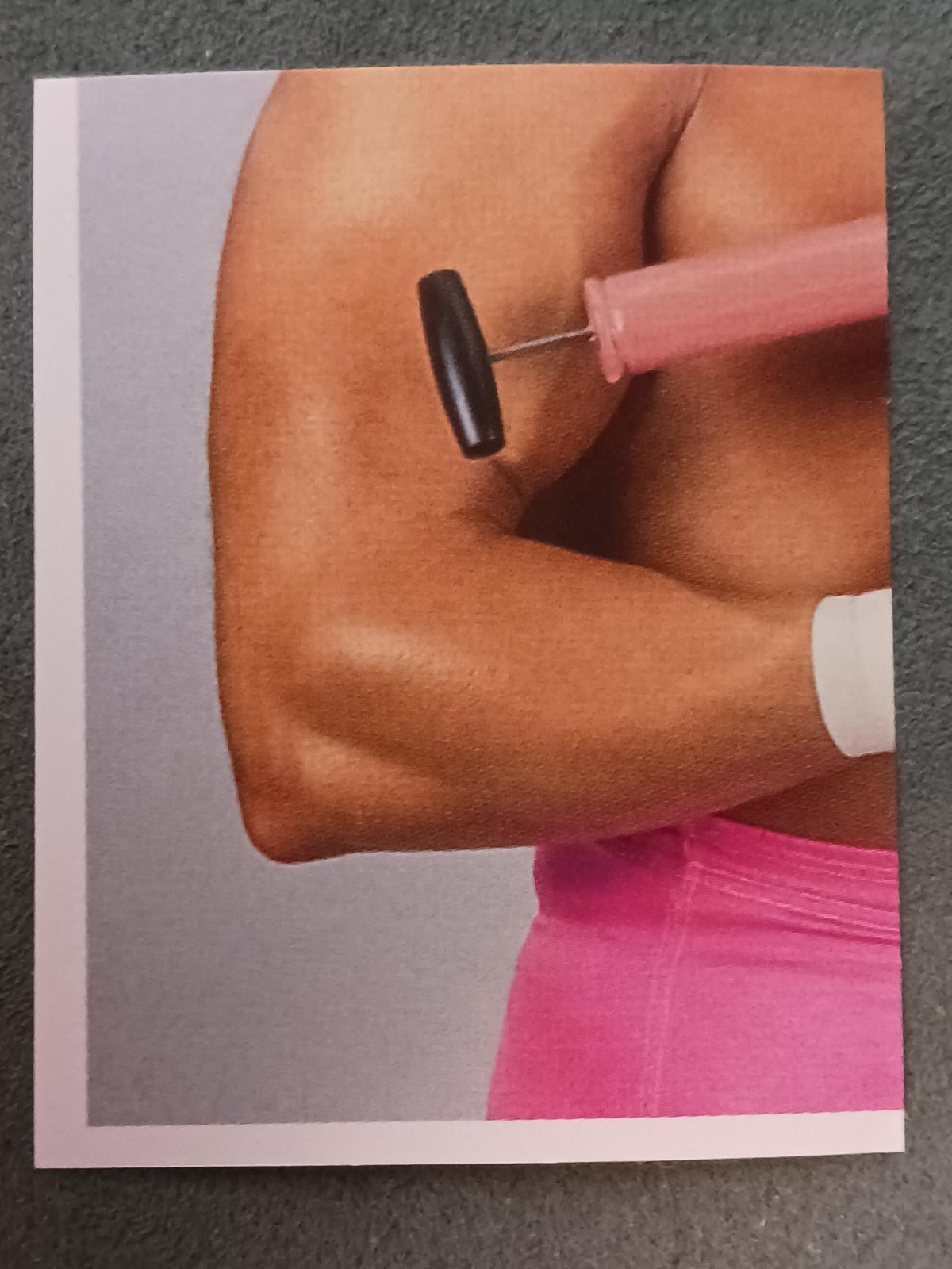The Model #109 Wrestling Cards 1992 Merlin WWF Stickers
