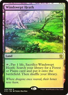 Windswept Heath