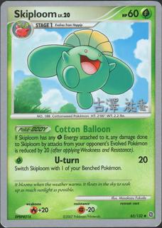 Skiploom