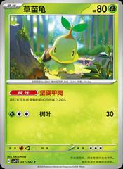 Turtwig #17