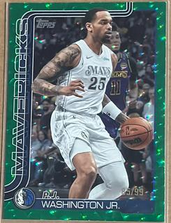 P.J. Washington Jr.