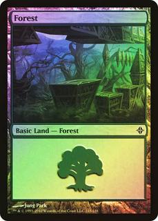 Forest