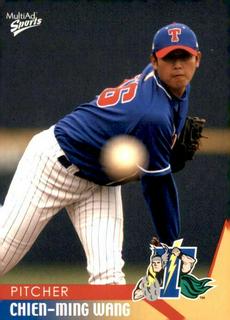 Chien-Ming Wang