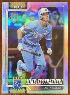 Mike Yastrzemski