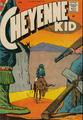 thumbnail cover art
