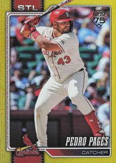 Pedro Pages