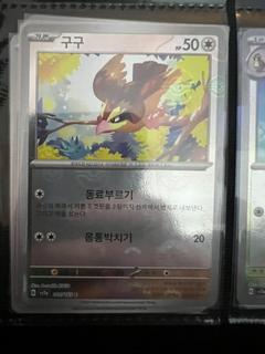 Pidgey