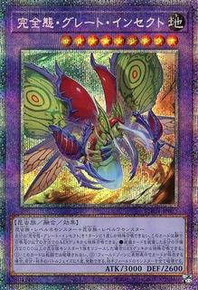 Ultimate Great Insect PHHY-JP035