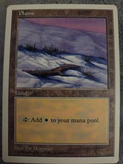 Plains