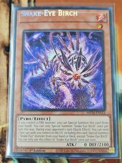 Snake-Eye Birch MP24-EN112