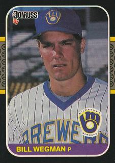 Bill Wegman