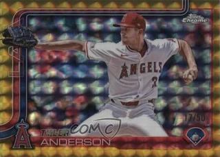 Tyler Anderson