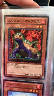 Evoltile Odonto PHSW-JP018