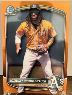 Joshua Kuroda-Grauer