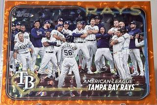 Tampa Bay Rays