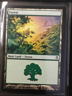 Forest