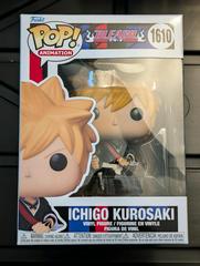 Ichigo Kurosaki #1610