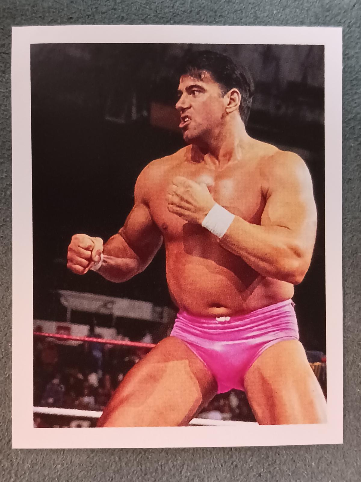 The Model #112 Wrestling Cards 1992 Merlin WWF Stickers