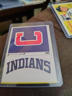 Cleveland Indians Monogram