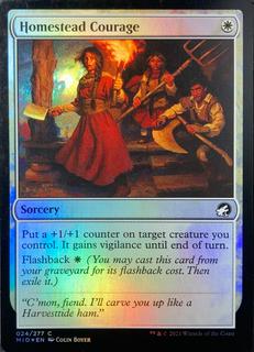 Homestead Courage