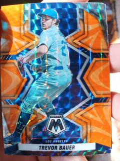 Trevor Bauer
