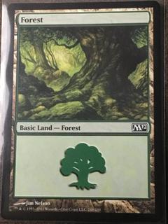 Forest