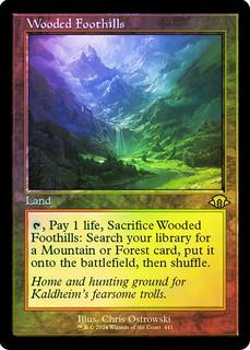 Wooded Foothills