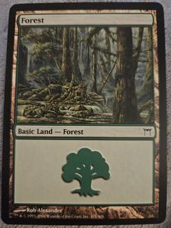 Forest
