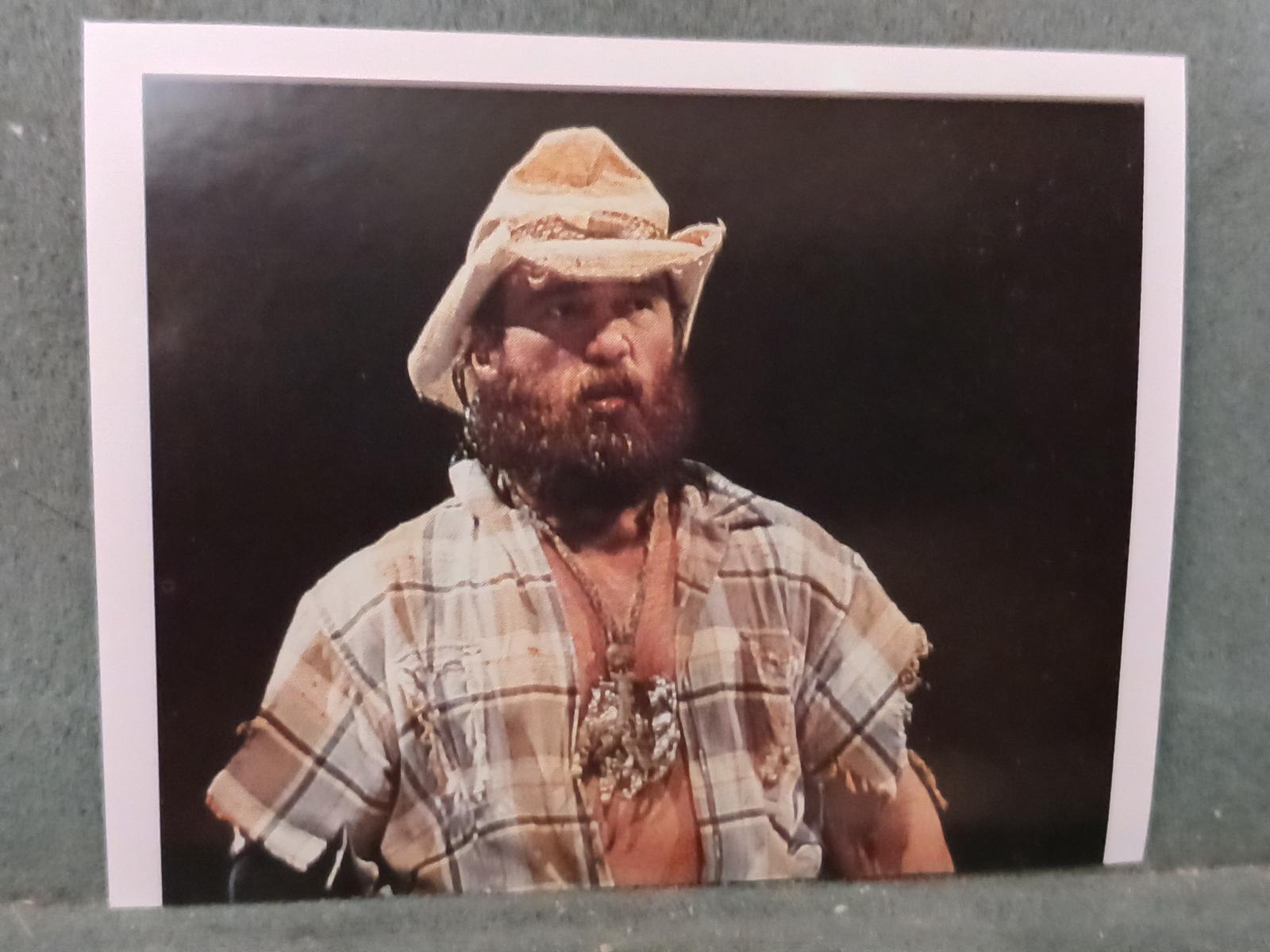 Skinner #100 Wrestling Cards 1992 Merlin WWF Stickers