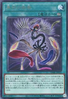 Black Feather Whirlwind DABL-JP052