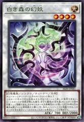 Mystic Mystery of the White Forest #ALIN-JP041