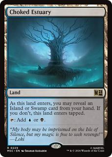 Choked Estuary