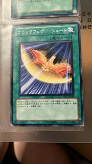 Black-Winged Strafe TSHD-JP045