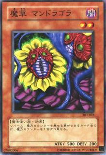 Magical Plant Mandragola 303-018