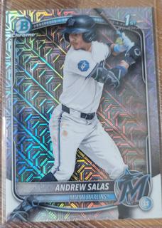 Andrew Salas
