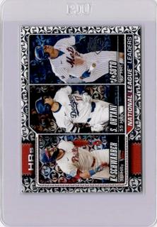 National League Leaders HRs