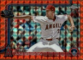 Tyler Anderson
