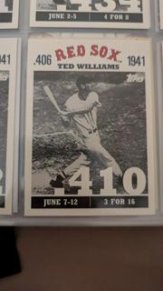 Ted Williams