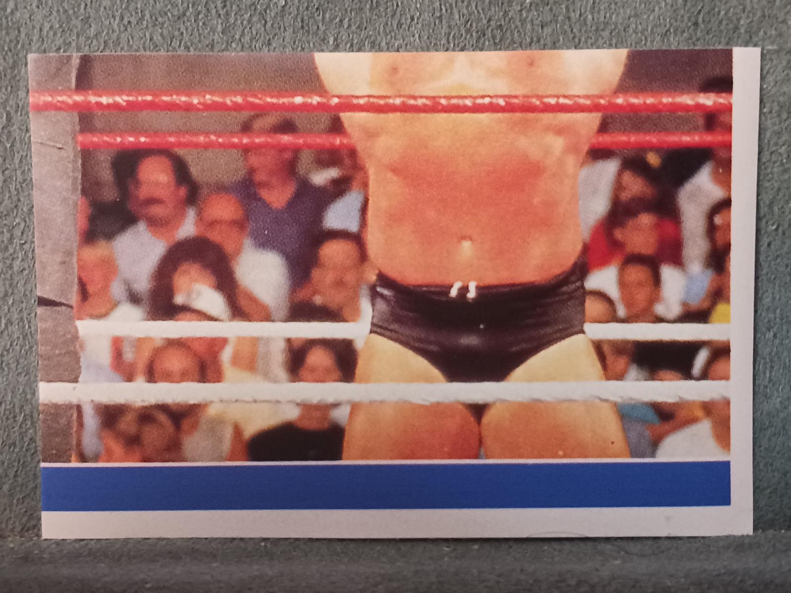 Power & Glory #43 Wrestling Cards 1991 WWF Superstars Stickers