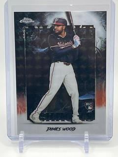 James Wood