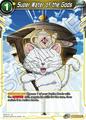 Super Water of the Gods | Dragon Ball Super Vermilion Bloodline