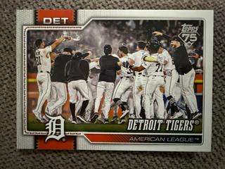 Team Card