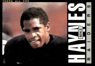 Mike Haynes