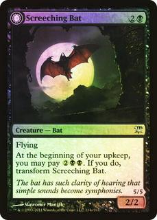 Screeching Bat