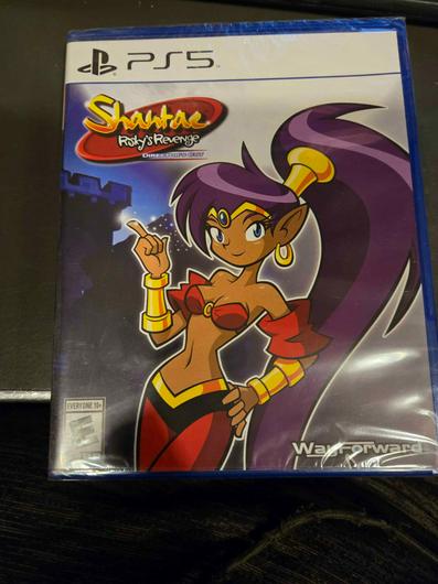 Shantae: Risky's Revenge Director's Cut photo