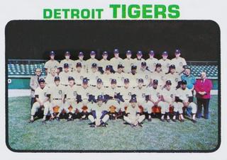 Tigers Team