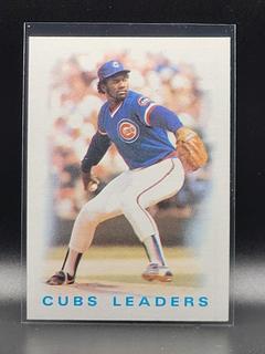 Cubs Leaders